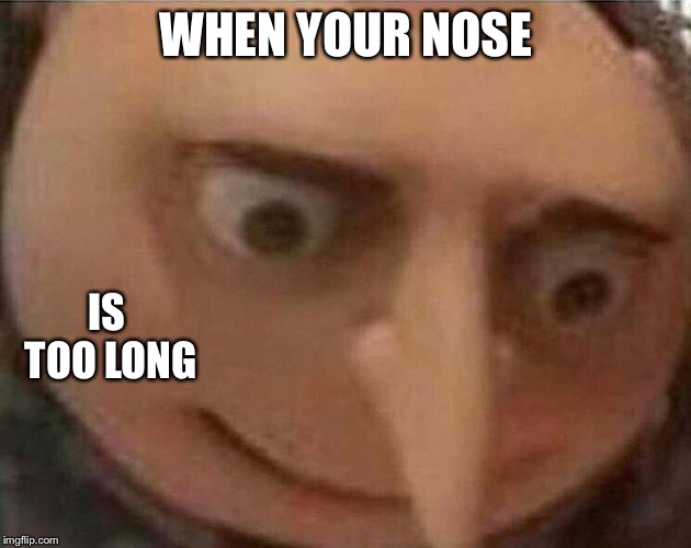 gru meme | WHEN YOUR NOSE; IS TOO LONG | image tagged in gru meme | made w/ Imgflip meme maker