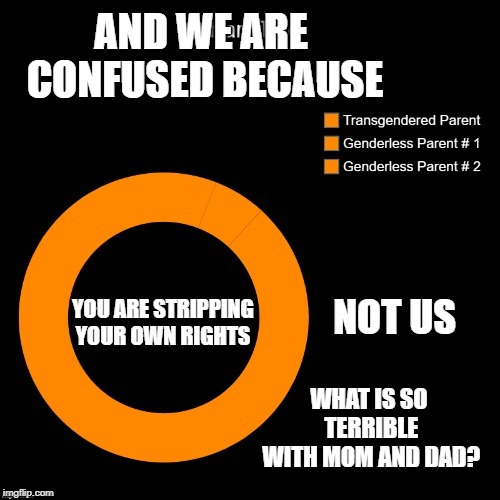 confusion | NOT US; WHAT IS SO TERRIBLE WITH MOM AND DAD? | image tagged in transgender,parent 1,parent 2 | made w/ Imgflip meme maker