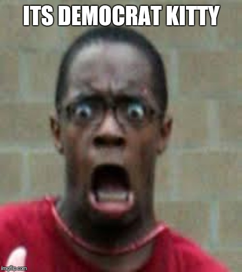 Scared Black Guy | ITS DEMOCRAT KITTY | image tagged in scared black guy | made w/ Imgflip meme maker