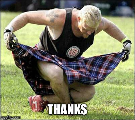 Bow | THANKS | image tagged in bow | made w/ Imgflip meme maker