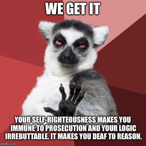 Tone deaf hypocrisy | WE GET IT; YOUR SELF-RIGHTEOUSNESS MAKES YOU IMMUNE TO PROSECUTION AND YOUR LOGIC IRREBUTTABLE. IT MAKES YOU DEAF TO REASON. | image tagged in memes,chill out lemur,logic,hypocrisy,debate,right | made w/ Imgflip meme maker