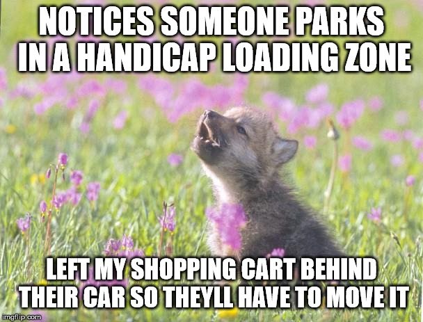 Baby Insanity Wolf Meme | NOTICES SOMEONE PARKS IN A HANDICAP LOADING ZONE; LEFT MY SHOPPING CART BEHIND THEIR CAR SO THEYLL HAVE TO MOVE IT | image tagged in memes,baby insanity wolf,AdviceAnimals | made w/ Imgflip meme maker
