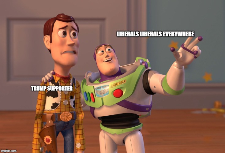 Toy Story Trump Supporter | LIBERALS LIBERALS EVERYWHERE; TRUMP SUPPORTER | image tagged in memes,x x everywhere | made w/ Imgflip meme maker