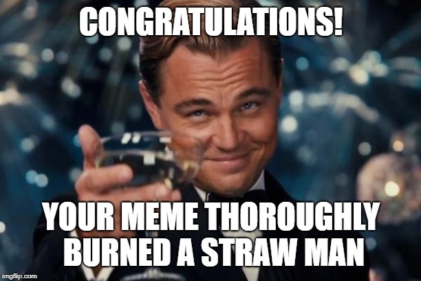 Leonardo Dicaprio Cheers Meme | CONGRATULATIONS! YOUR MEME THOROUGHLY BURNED A STRAW MAN | image tagged in memes,leonardo dicaprio cheers | made w/ Imgflip meme maker
