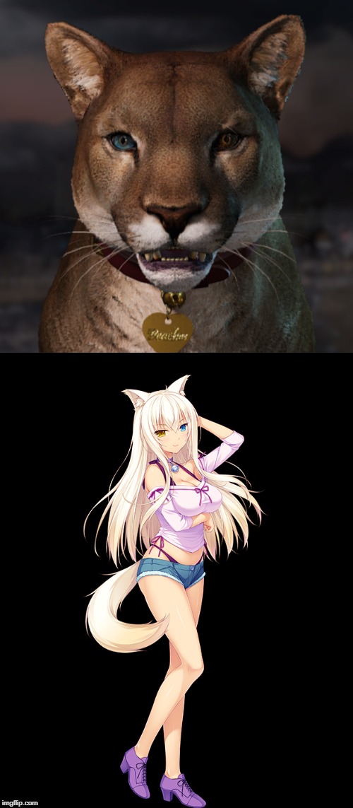 Peaches & Coconut | image tagged in far cry,anime,animeme,anime meme | made w/ Imgflip meme maker