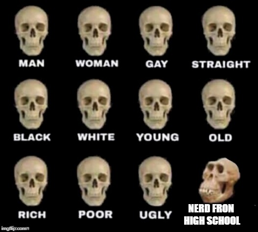 idiot skull | NERD FRON HIGH SCHOOL | image tagged in idiot skull | made w/ Imgflip meme maker
