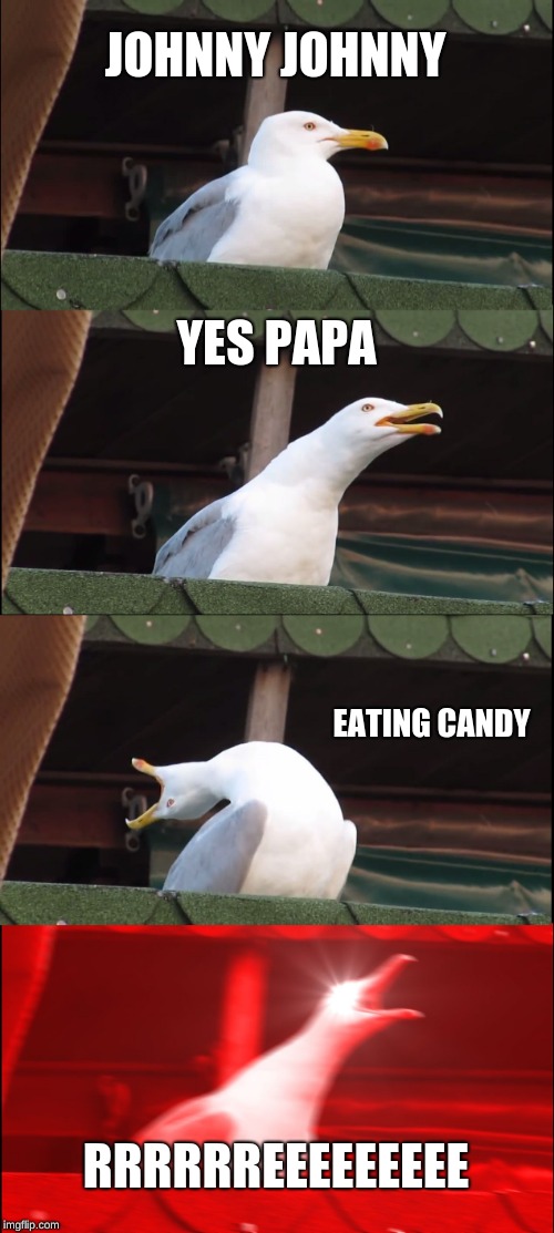 Inhaling Seagull Meme | JOHNNY JOHNNY; YES PAPA; EATING CANDY; RRRRRREEEEEEEEE | image tagged in memes,inhaling seagull | made w/ Imgflip meme maker