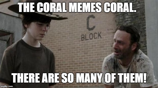 Coral | THE CORAL MEMES CORAL. THERE ARE SO MANY OF THEM! | image tagged in coral | made w/ Imgflip meme maker