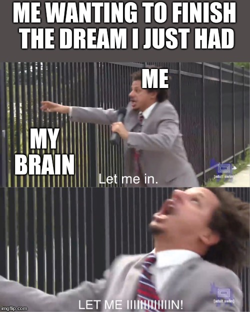 let me in | ME WANTING TO FINISH THE DREAM I JUST HAD; ME; MY BRAIN | image tagged in let me in | made w/ Imgflip meme maker