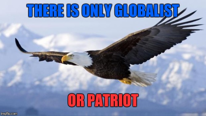 eagle | THERE IS ONLY GLOBALIST OR PATRIOT | image tagged in eagle | made w/ Imgflip meme maker
