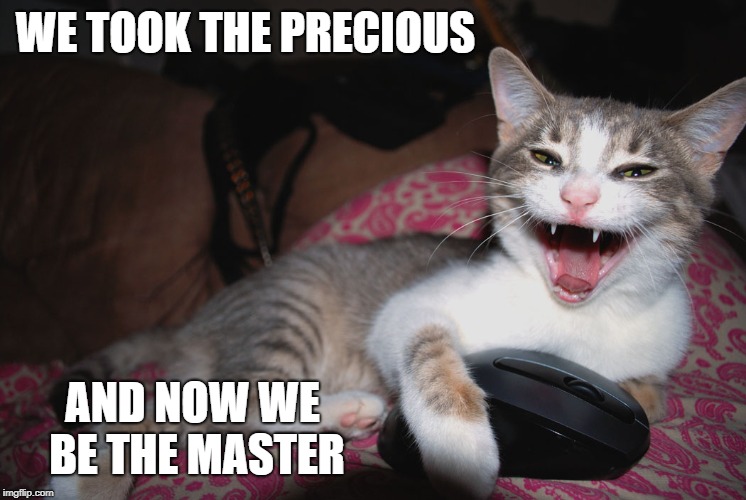 WE TOOK THE PRECIOUS AND NOW WE BE THE MASTER | made w/ Imgflip meme maker