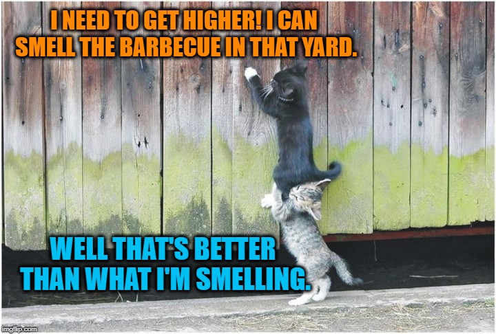 I NEED TO GET HIGHER! I CAN SMELL THE BARBECUE IN THAT YARD. WELL THAT'S BETTER THAN WHAT I'M SMELLING. | made w/ Imgflip meme maker