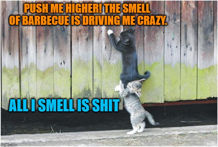PUSH ME HIGHER! THE SMELL OF BARBECUE IS DRIVING ME CRAZY. ALL I SMELL IS SHIT | made w/ Imgflip meme maker