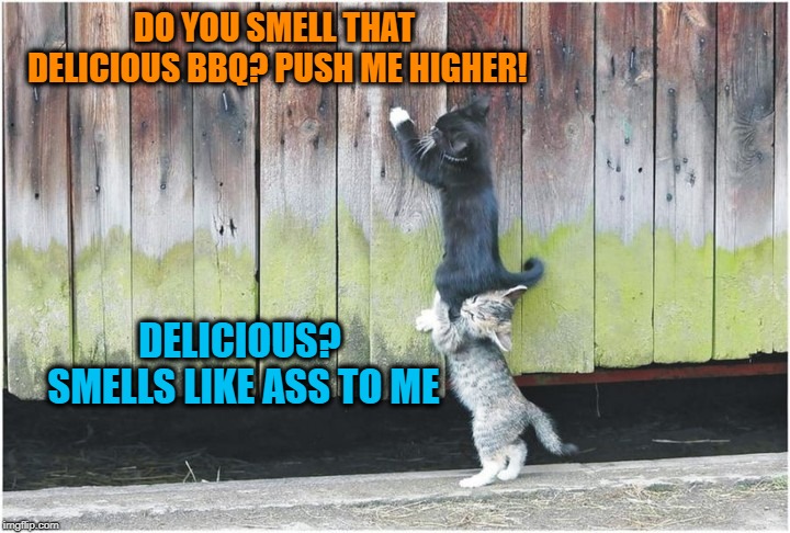 DO YOU SMELL THAT DELICIOUS BBQ? PUSH ME HIGHER! DELICIOUS? SMELLS LIKE ASS TO ME | made w/ Imgflip meme maker