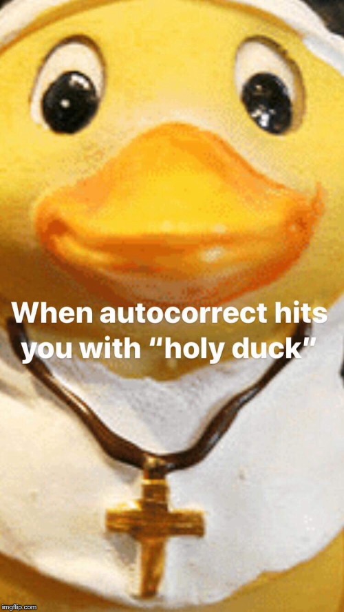 Holy duck | image tagged in memes,funny memes,autocorrect,duck | made w/ Imgflip meme maker
