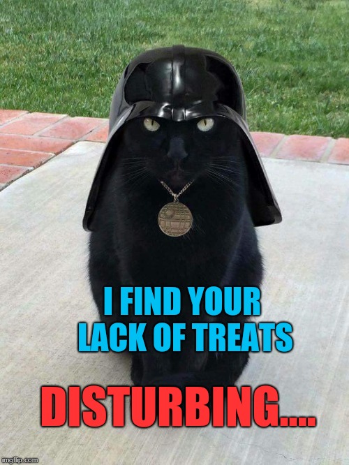 I FIND YOUR LACK OF TREATS; DISTURBING.... | image tagged in darrth kitty,cats,srar wars | made w/ Imgflip meme maker