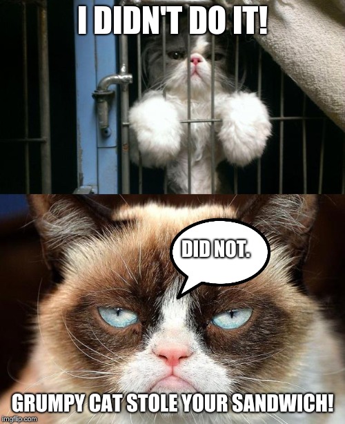I DIDN'T DO IT! DID NOT. GRUMPY CAT STOLE YOUR SANDWICH! | image tagged in memes,grumpy cat not amused,prison | made w/ Imgflip meme maker
