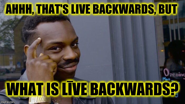 Roll Safe Think About It Meme | AHHH, THAT'S LIVE BACKWARDS, BUT WHAT IS LĪVE BACKWARDS? | image tagged in memes,roll safe think about it | made w/ Imgflip meme maker