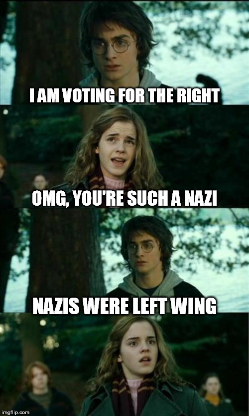 Hogwarts political school | I AM VOTING FOR THE RIGHT; OMG, YOU'RE SUCH A NAZI; NAZIS WERE LEFT WING | image tagged in harry hermione,nazi,hitler,left,right | made w/ Imgflip meme maker