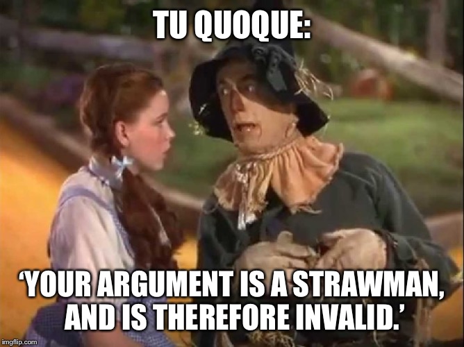 Scarecrow And Dorothy | TU QUOQUE:; ‘YOUR ARGUMENT IS A STRAWMAN, AND IS THEREFORE INVALID.’ | image tagged in scarecrow and dorothy | made w/ Imgflip meme maker