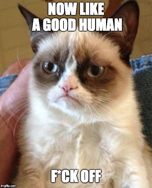 Grumpy Cat |  NOW LIKE A GOOD HUMAN; F*CK OFF | image tagged in memes,grumpy cat | made w/ Imgflip meme maker