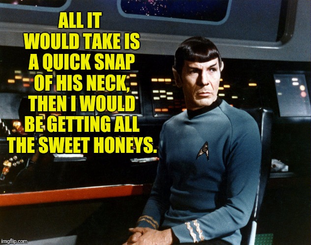 ALL IT WOULD TAKE IS A QUICK SNAP OF HIS NECK, THEN I WOULD BE GETTING ALL THE SWEET HONEYS. | image tagged in star trek,spock,complaining,he's probably thinking about girls | made w/ Imgflip meme maker