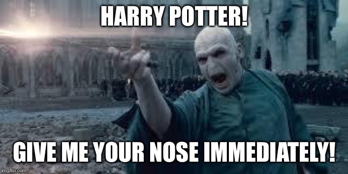 Voldemort | HARRY POTTER! GIVE ME YOUR NOSE IMMEDIATELY! | image tagged in voldemort | made w/ Imgflip meme maker