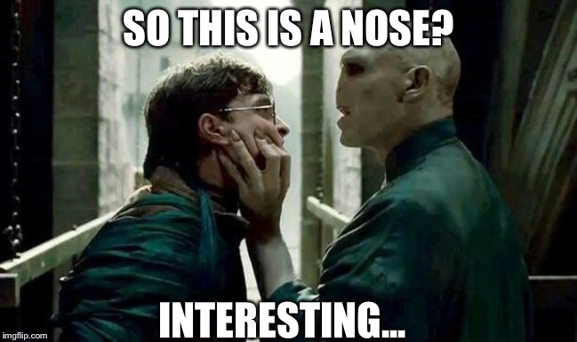 Voldemort and Harry | SO THIS IS A NOSE? INTERESTING... | image tagged in voldemort and harry | made w/ Imgflip meme maker