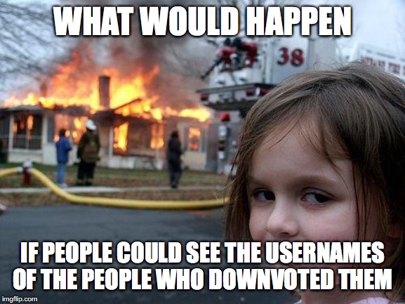 Yes | WHAT WOULD HAPPEN; IF PEOPLE COULD SEE THE USERNAMES OF THE PEOPLE WHO DOWNVOTED THEM | image tagged in memes,disaster girl,cats,funny | made w/ Imgflip meme maker
