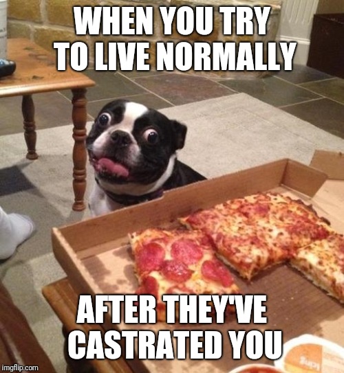 I have seen too many things | WHEN YOU TRY TO LIVE NORMALLY; AFTER THEY'VE CASTRATED YOU | image tagged in hungry pizza dog | made w/ Imgflip meme maker