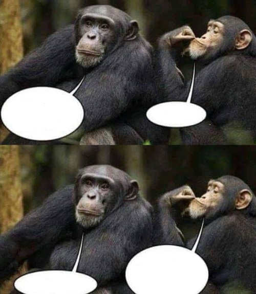 Chimp Chat Blank Meme Template