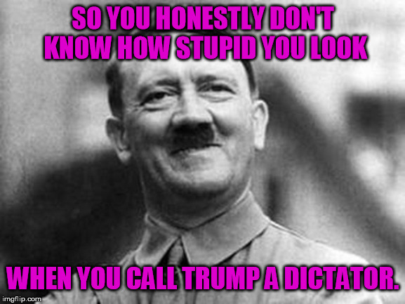 That's not a question, just a statement of fact. | SO YOU HONESTLY DON'T KNOW HOW STUPID YOU LOOK; WHEN YOU CALL TRUMP A DICTATOR. | image tagged in adolf hitler | made w/ Imgflip meme maker