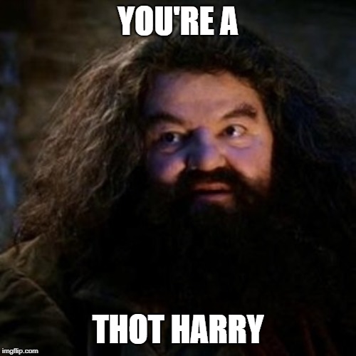 You're a wizard harry | YOU'RE A; THOT HARRY | image tagged in you're a wizard harry | made w/ Imgflip meme maker