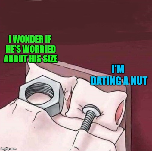 I think size is gonna matter... | I WONDER IF HE'S WORRIED ABOUT HIS SIZE; I'M DATING A NUT | image tagged in nuts and bolts,memes,tools,funny,i'll bet he's thinking about other nuts,size matters | made w/ Imgflip meme maker