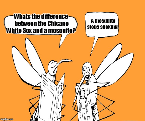 Chicago White Sox | A mosquito stops sucking. Whats the difference between the Chicago White Sox and a mosquito? | image tagged in sports | made w/ Imgflip meme maker