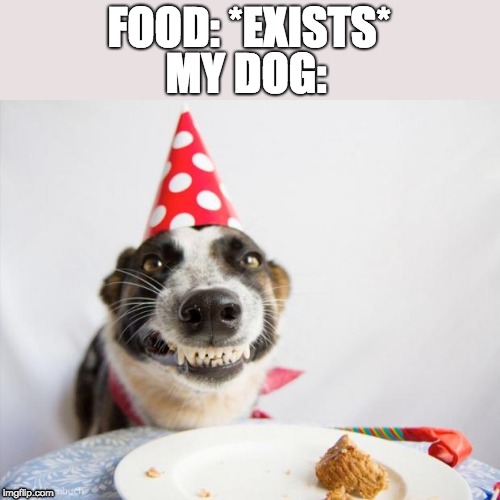 Happy birthday Derek  | FOOD: *EXISTS*; MY DOG: | image tagged in happy birthday derek | made w/ Imgflip meme maker