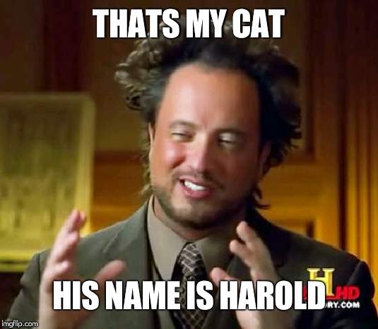 Aliens Guy | THATS MY CAT HIS NAME IS HAROLD | image tagged in aliens guy | made w/ Imgflip meme maker