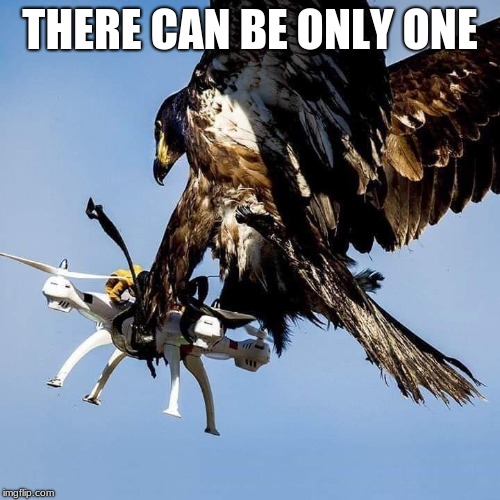 Que the Queen and turn it up. | THERE CAN BE ONLY ONE | image tagged in eagle 1 drone 0,queen,there can be only one | made w/ Imgflip meme maker