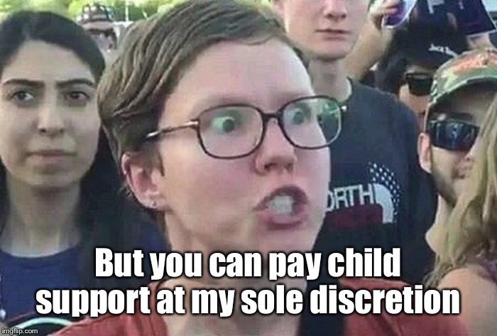 Triggered Liberal | But you can pay child support at my sole discretion | image tagged in triggered liberal | made w/ Imgflip meme maker