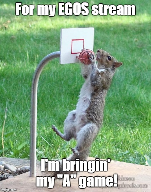 Just kidding, it's more like my "B" or "C" game | For my EGOS stream; I'm bringin' my "A" game! | image tagged in squirrel basketball,memes,a game,egos,bring it | made w/ Imgflip meme maker