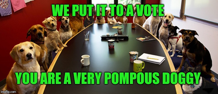 Dog Meeting | WE PUT IT TO A VOTE YOU ARE A VERY POMPOUS DOGGY | image tagged in dog meeting | made w/ Imgflip meme maker
