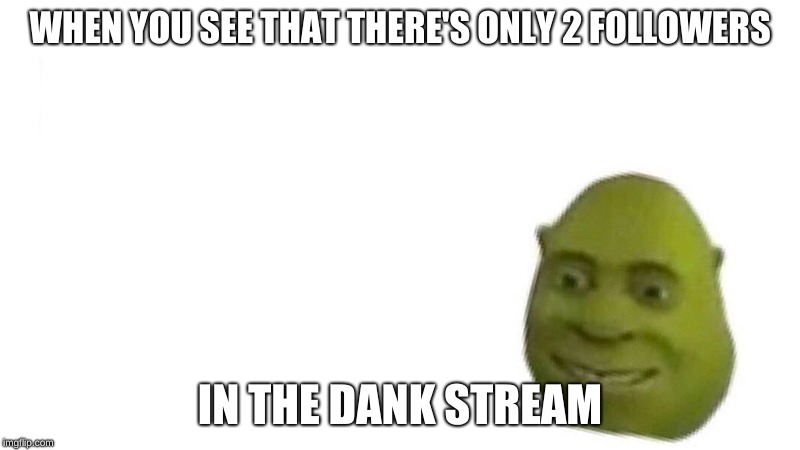 Shrek flex | WHEN YOU SEE THAT THERE'S ONLY 2 FOLLOWERS; IN THE DANK STREAM | image tagged in shrek flex | made w/ Imgflip meme maker