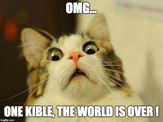 one kible | OMG... ONE KIBLE, THE WORLD IS OVER ! | image tagged in memes,scared cat | made w/ Imgflip meme maker