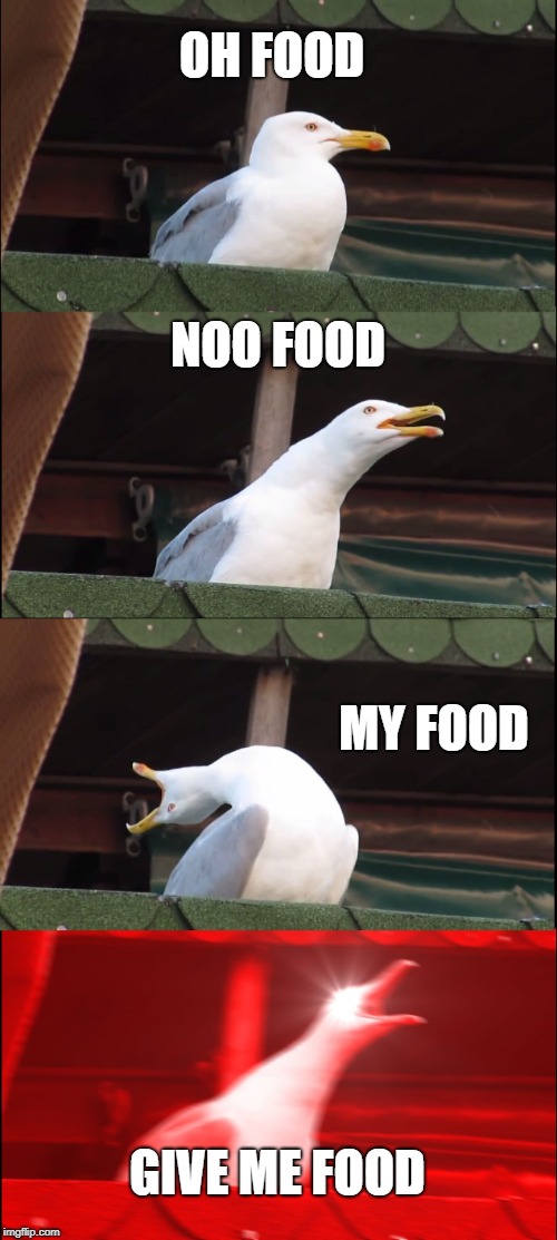 Inhaling Seagull | OH FOOD; NOO FOOD; MY FOOD; GIVE ME FOOD | image tagged in memes,inhaling seagull | made w/ Imgflip meme maker