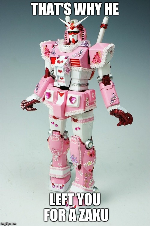 Gay pink gundam robot faggatron | THAT'S WHY HE; LEFT YOU FOR A ZAKU | image tagged in gay pink gundam robot faggatron | made w/ Imgflip meme maker