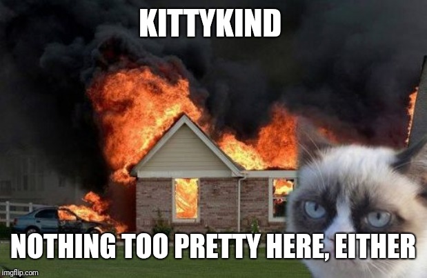 Burn Kitty Meme | KITTYKIND NOTHING TOO PRETTY HERE, EITHER | image tagged in memes,burn kitty,grumpy cat | made w/ Imgflip meme maker
