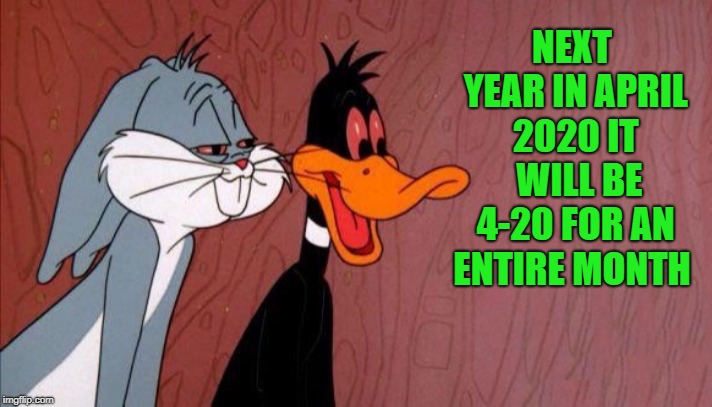 4-20 | NEXT YEAR IN APRIL 2020 IT  WILL BE 4-20 FOR AN ENTIRE MONTH | image tagged in 2020,4-20 | made w/ Imgflip meme maker