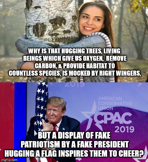 Hugging trees is mocked, but hugging a flag is ok? | WHY IS THAT HUGGING TREES, LIVING BEINGS WHICH GIVE US OXYGEN,  REMOVE CARBON, & PROVIDE HABITAT TO COUNTLESS SPECIES, IS MOCKED BY RIGHT WINGERS, BUT A DISPLAY OF FAKE PATRIOTISM BY A FAKE PRESIDENT HUGGING A FLAG INSPIRES THEM TO CHEER? | image tagged in tree hugger,donald trump | made w/ Imgflip meme maker