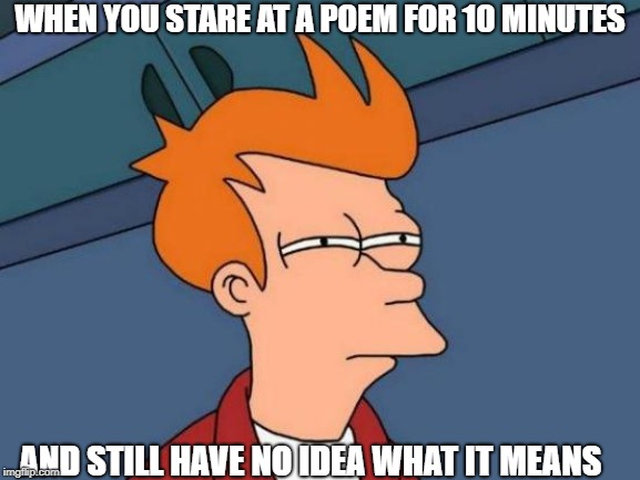 Futurama Fry Meme | WHEN YOU STARE AT A POEM FOR 10 MINUTES; AND STILL HAVE NO IDEA WHAT IT MEANS | image tagged in memes,futurama fry | made w/ Imgflip meme maker