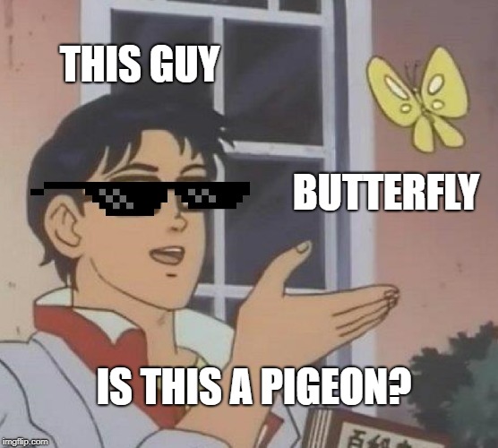 Is This A Pigeon Meme | THIS GUY; BUTTERFLY; IS THIS A PIGEON? | image tagged in memes,is this a pigeon | made w/ Imgflip meme maker